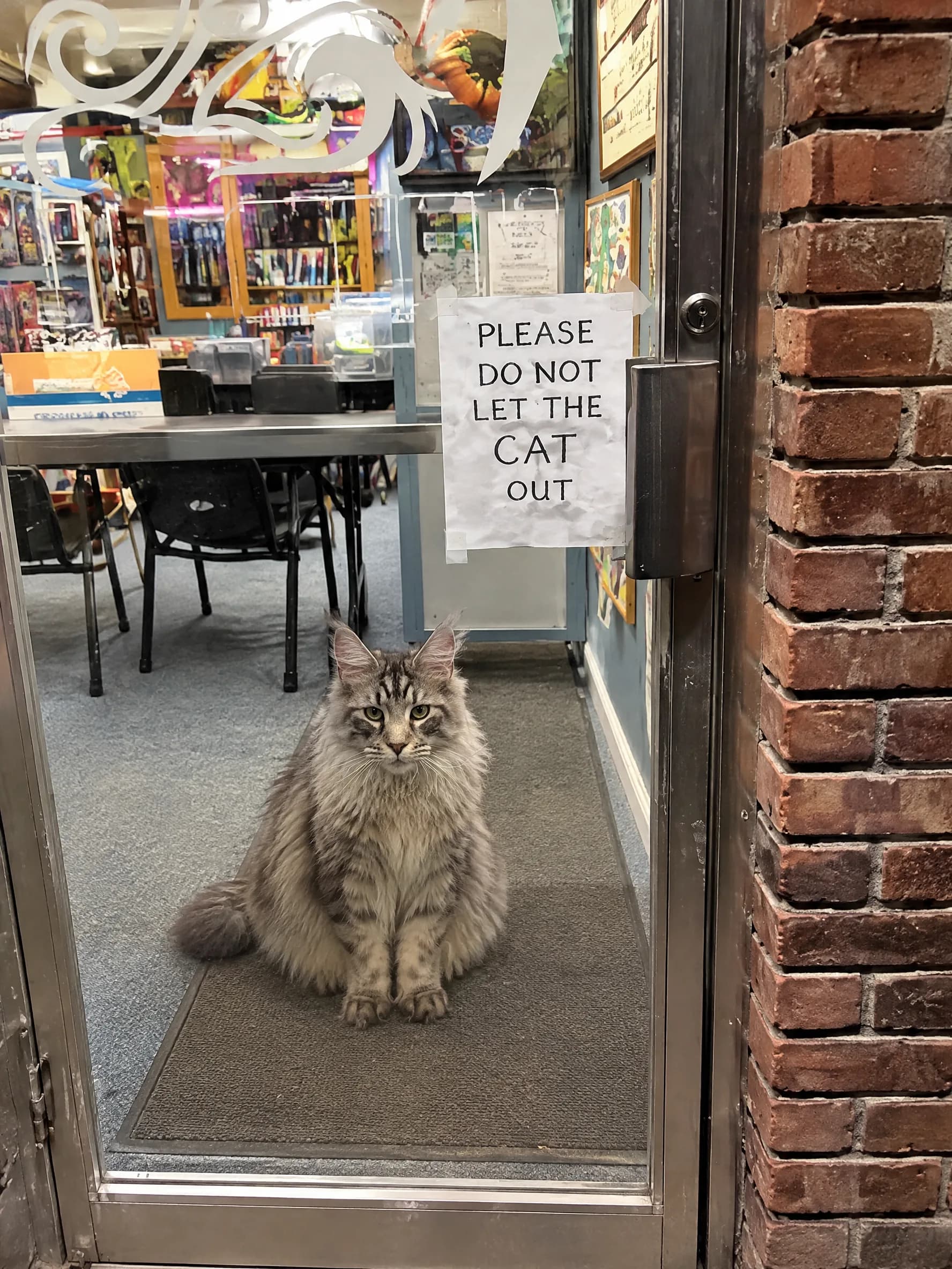 BobToo at the glass door, next to the sign asking not to let the cat out.